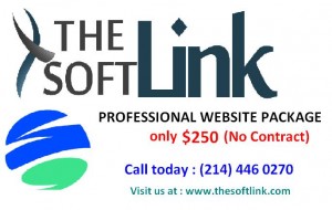 PROFESSIONAL WEBSITE PACKAGE IN $250