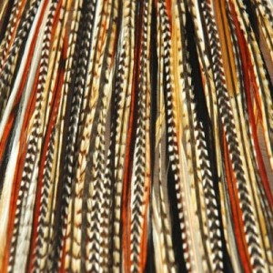 Quality Grizzly Rooster Feathers for hair extensions