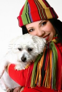 VERY LOVELY AND ADORABLE MALTESE PUPPIES ONLY FOR WELL ORGANISED FAMILY ADOPTION