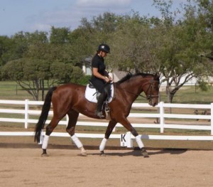 superp Athlete with a very firendly personality ready for a new home