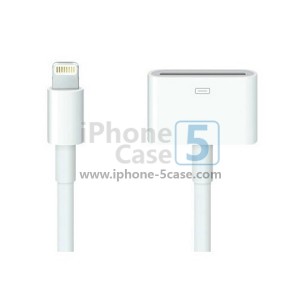 New Lightning 8-Pin to 30-Pin Data Sync Charge Convertor Adapter Cable for iPhone 5