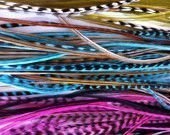 Rooster Feathers for Hair Extension with Micro beads