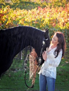 healthy talented friesian horse for sale