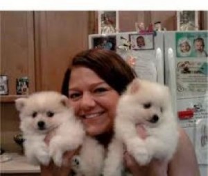 Beautiful 12 week old Pomeranian puppies for sale male and female