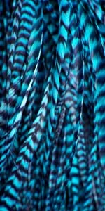 TOP QUALITY GRIZZLY ROOSTER FEATHERS