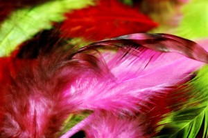 Grizzly Rooster Feathers for Hair Extensions (703) 249-6363