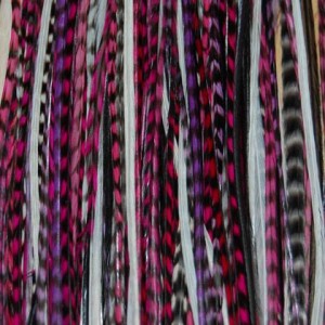 Grizzly Rooster Saddle Feathers for Hair Extensions Earrings and more. Specifications We are suppliers of grizzly ro 