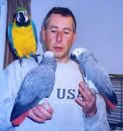 ***Hand Raise Talking African Grey Parrots For Adoption***