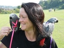 Lovely African Grey Parrots Ready For A New Home