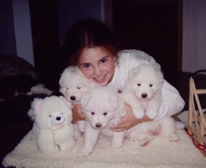 Pure White and Pure Breed Samoyed Puppies