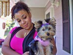 x-mas!  Teacup Yorkshire Terrier Puppies