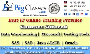 SAP Sales and Distribution Online Training