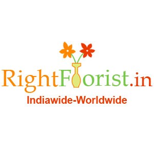 Send floral wishes exclusively from www.rightflorist.in