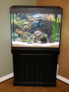 37 GALLON FISH TANK WITH STAND