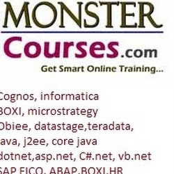 IBM Cognos training