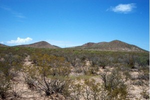 Buy Ranch Parcel, Hunt Whole 50 Sq Mile Ranch