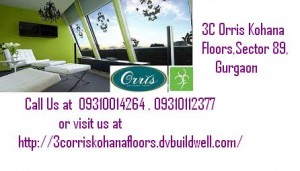 3C Kohana Floors Gurgaon