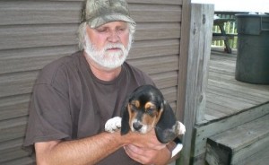 Basset Hound Puppies for You