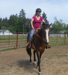 Gorgeous Horse for Adoption