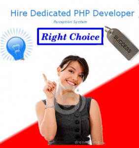 Hire PHP Developer From Perception System With Flexible Pricing