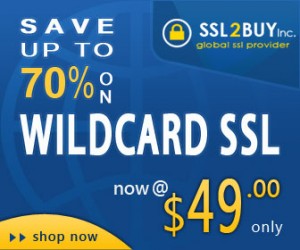 No Bargain!! Grab 30% off on AlphaSSL Wildcard at SSL2BUY