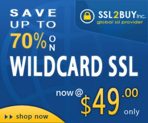 No Bargain!! Grab 30% off on AlphaSSL Wildcard at SSL2BUY