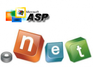 Custom Asp.Net Development Service Available At Perception System