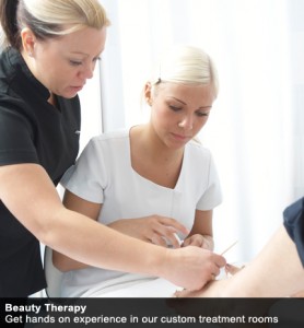 Professional Beauty Courses
