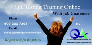 Software Testing Training Online