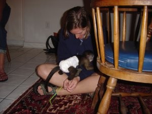 Amazing Capuchin Monkey for Adoption for Christmas