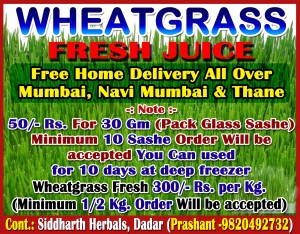 Wheatgrass Fresh Juice
