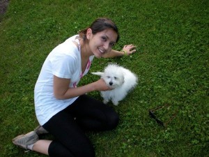 Family Trained T-Cup Maltese Puppies