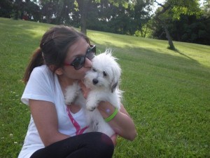 Gorgeous Teacup Maltese Pups