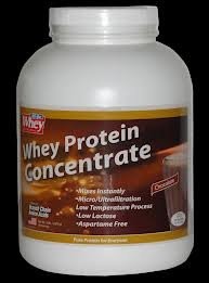 Whey Protein Concentrate / Full Cream Milk / Whole Milk Powder