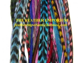 Wholesale Grizzly Rooster Feathers