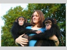 Amazing 2 Monkey Chimpazee For Adoption