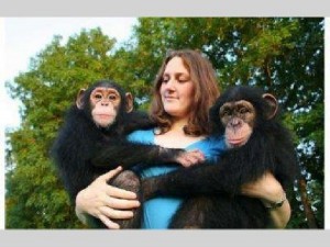 Awesome Baby Chimpanzees for Free Rehoming