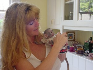 Two X-MAS Adorable Capuchin Monkeys For Adoption now!!!!!(monicacliff1@yahoo.com)