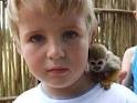 RE SMALL X-MAS CAPUCHIN MONKEY FOR  SALE