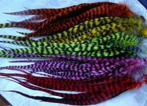 Grizzly Rooster feathers for sale .( various colors and types )