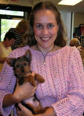 cute and adorable yorkie puppies ready to go to a new home