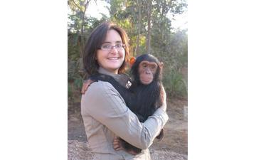 Male and female hand raised baby chimpanzee for adoption