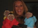 Well Train Capuchin Monkeys For Free Adoption(patricickate@yahoo.com)