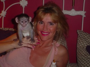 Tiny Toy monkeys For  Adoption