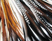Grizzly Rooster Feathers for Hair Extensions
